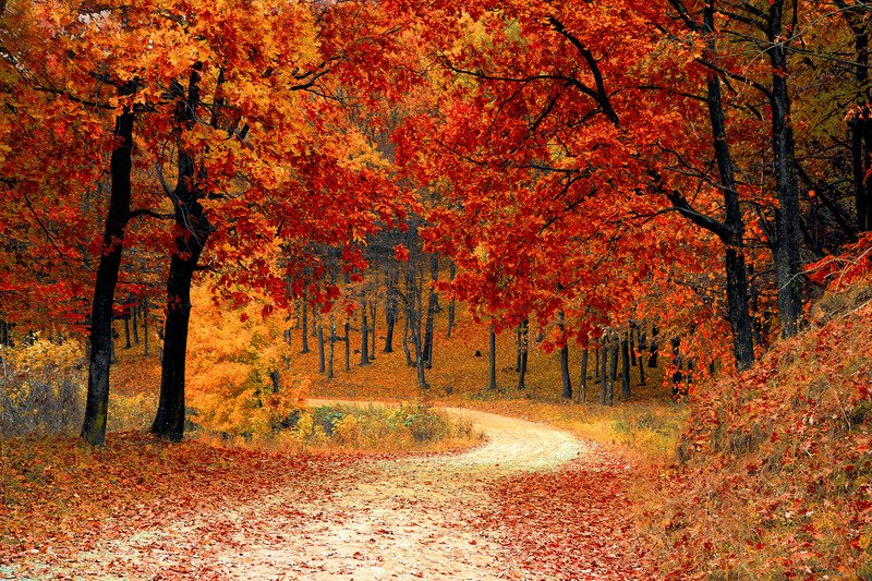 Mitigate Seasonal Depression With These Tips