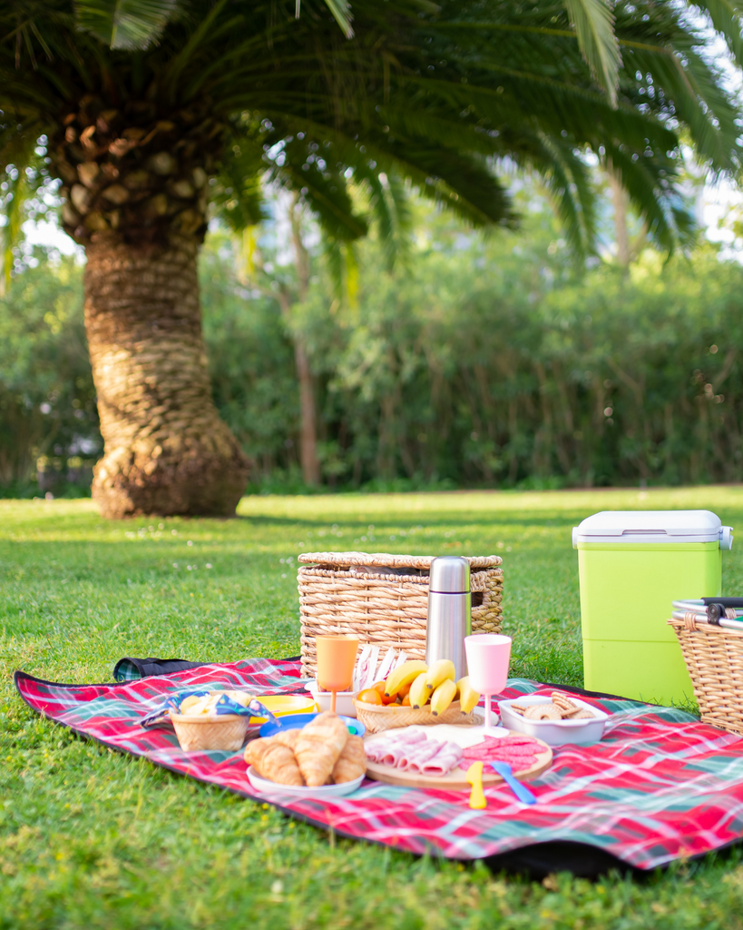 Picnic-Perfect: Healthy fit‑flavors Spread for Outdoor Summer Fun